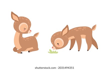 Cute Baby Deer with Spots as Adorable Hoofed Mammal Sitting and Smelling Grass Vector Set