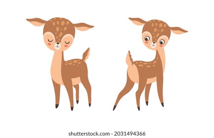 Cute Baby Deer with Spots as Adorable Hoofed Mammal Living in Forest Vector Set