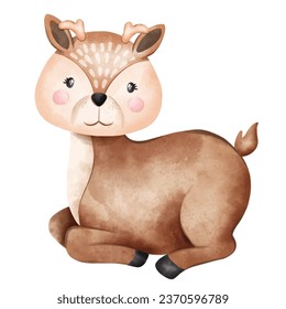 Cute Baby Deer Zoo Animals Watercolor