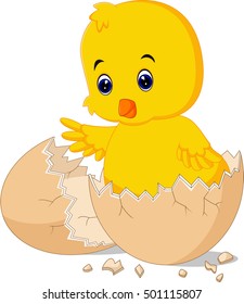 Cute baby duck cartoon