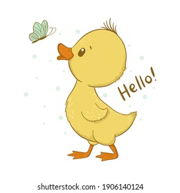 Cute baby duck isolated on white background