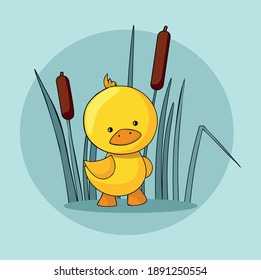 Cute baby duck and reed on blue background