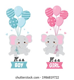 Cute baby elephant flying with balloons. Baby gender reveal clip art. Flat vector cartoon