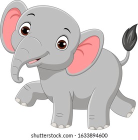 Cute baby elephant isolated on white background