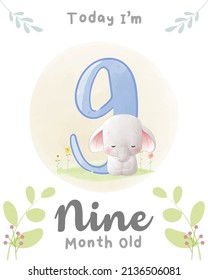 Cute baby Elephant, Baby Milestone Cards Cute Animal