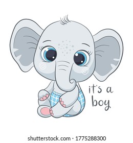 Cute baby elephant with phrase "It's a boy"