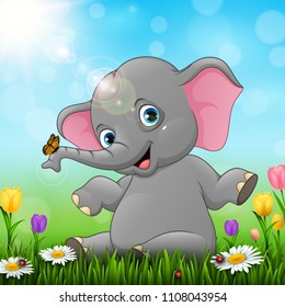 Cute baby elephant sitting on grass background
