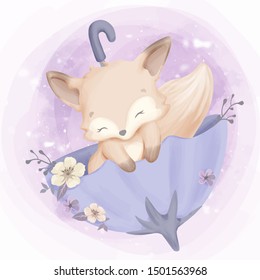 cute baby fox sleep on umbrella