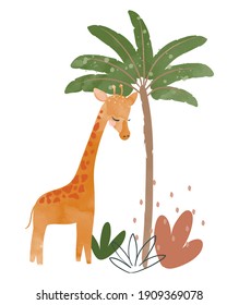 Cute baby giraffe nursery animal isolated illustration for children. Bohemian watercolor boho forest giraffe drawing, vector illustration. Perfect for nursery posters, patterns, wallpapers.