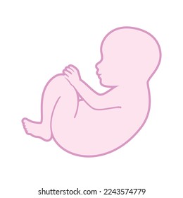 Cute baby girl newborn pink outline icon vector. Baby in fetal position graphic design element isolated on a white background. Adorable newborn silhouette drawing