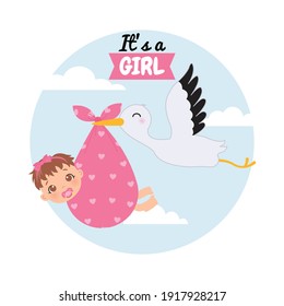 Cute baby girl with pacifier are being carried by a stork. Baby gender reveal card. Flat vector illustration design.