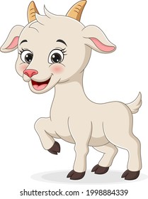 Cute baby goat cartoon on white background