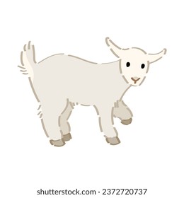 Cute baby goat on white background