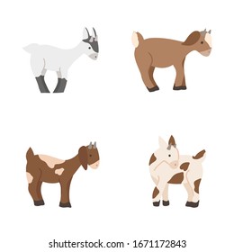 Cute Baby Goats Vector Set Isolated On White Background. Farm Animal Goat Cartoon Character Illustration.