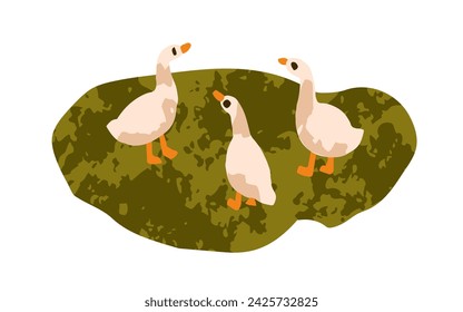 Cute baby goose. Funny little geese group walking. Adorable goslings on grass. Countryside birds, poultry, feathered farm animals. Flat vector illustration isolated on white background