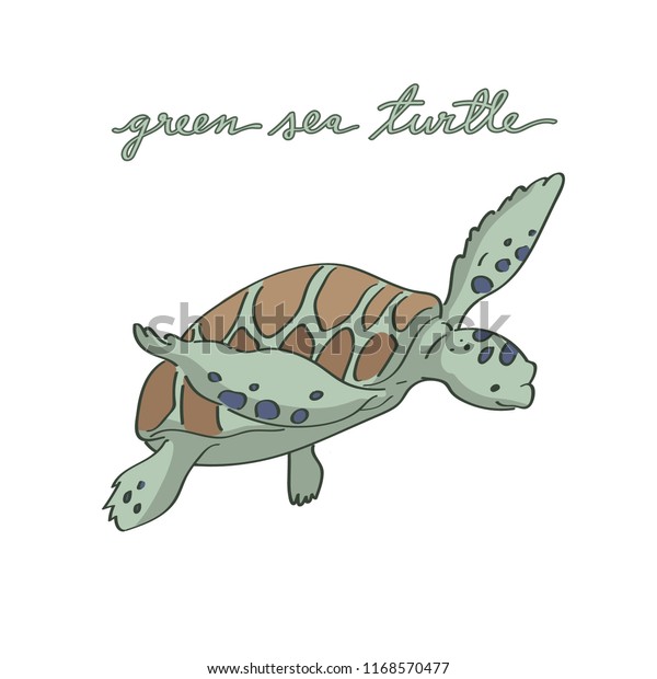 Cute Baby Green Sea Turtle Illustration Stock Vector (royalty Free 