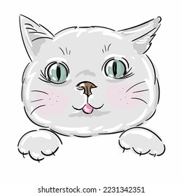 Cute baby grey cat face, kitten head on white isolated background illustration vector.