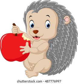 Cute baby hedgehog