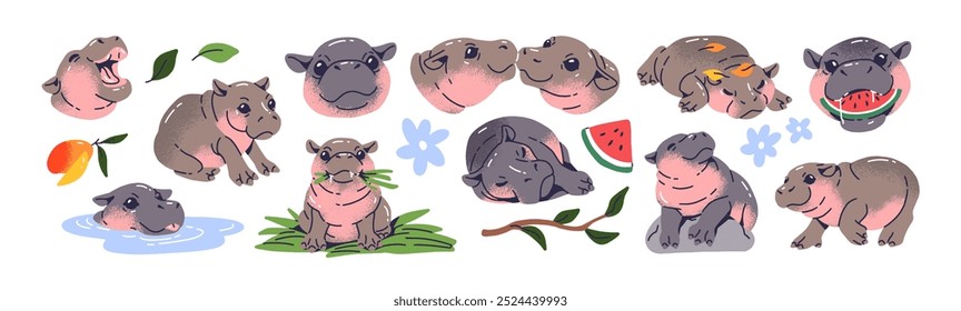 Bonito conjunto de hipopótamo bebê. Engraçado hippopotamus pigmeu se diverte, dorme, come melancia. Feliz animal africano gordo nada na água, caminha, relaxa. Ilustrações de vetor isoladas planas sobre fundo branco