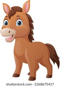 Cute baby horse cartoon on white background
