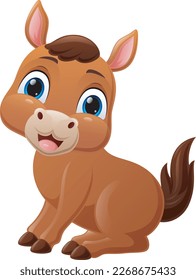 Cute baby horse cartoon on white background