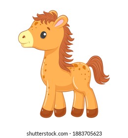 Cute baby horse in cartoon style. Vector illustration.