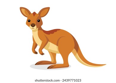 Cute Baby kangaroo flat animal vector pro style illustration.