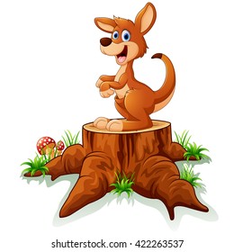Cute baby kangaroo posing on tree stump