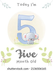 Cute baby Koala, Baby Milestone Cards Cute Animals