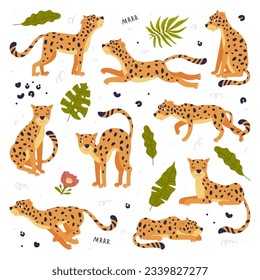 Cute baby leopards set. Adorable wild predator jungle animals in different poses cartoon vector illustration