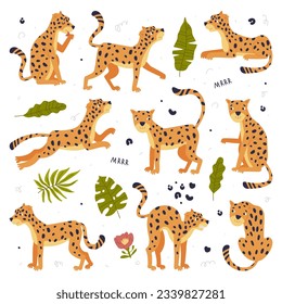 Cute baby leopards set. Beautiful wild predator jungle animals cartoon vector illustration