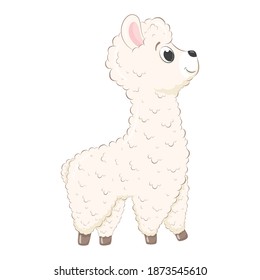 Cute baby llama. Vector illustration in cartoon style.