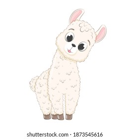 Cute baby llama. Vector illustration in cartoon style.