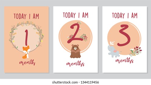 Cute Baby milestone cards. Can use for monthly baby picture Cards and baby shower gift.  Adorable collection of milestone cards.