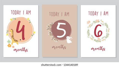 Cute Baby milestone cards. Can use for monthly baby picture Cards and baby shower gift.  Adorable collection of milestone cards.