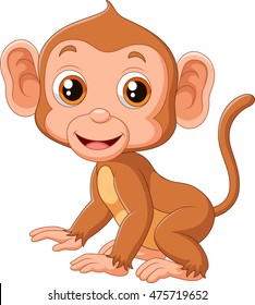 Cute baby monkey