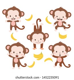 Cute Baby Monkey and Banana