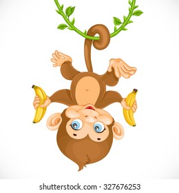 Cute Baby Monkey With Banana Hanging On Liana Isolated On A White Background