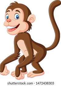 Cute baby monkey cartoon on white background