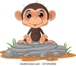 Cute baby monkey cartoon sitting on the rock