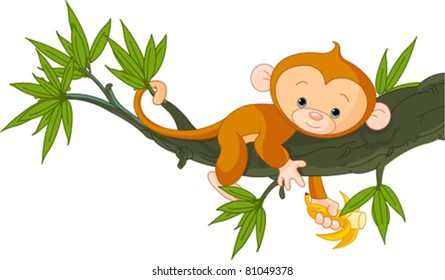 Baby Monkey Hd Stock Images Shutterstock