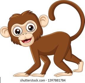 Cute baby monkey on white background