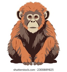 Cute baby monkey sitting in tropical rainforest over white