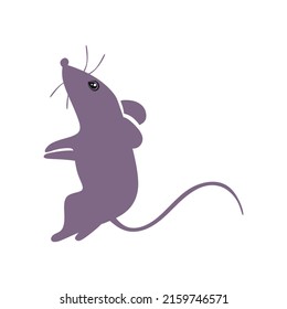 8,398 Baby rat for child Images, Stock Photos & Vectors | Shutterstock