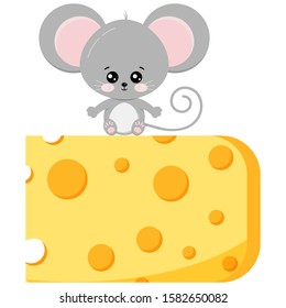 Cute baby mouse on piece of cheese vector flat design image isolated on white background. Little funny rat sits on delicious cheese. Cartoon style adorable animal character illustration.