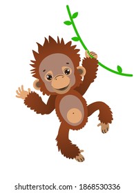 A cute baby orangutan hangs on bamboo stalks. Fauna of the rain forests of Asia. Vector illustration. Cartoon style.