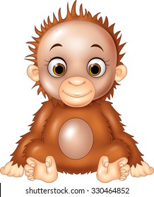 Cute baby orangutan sitting isolated on white background