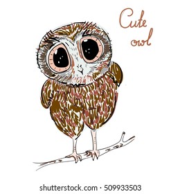 Cute baby owl