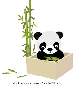 Cute Baby Panda Bear in a box with bamboo leaf Drawing Vector Illustration 