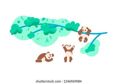 Cute baby panda bears climbing tree in forest and playing together in flat style. Vector illustration eps 10